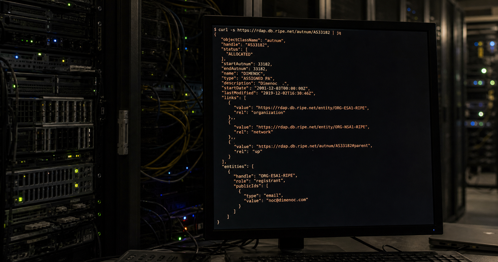 A terminal screen displaying RIPE whois output for AS212047 with the 'Tech Contact: Nick Saunders' line highlighted.