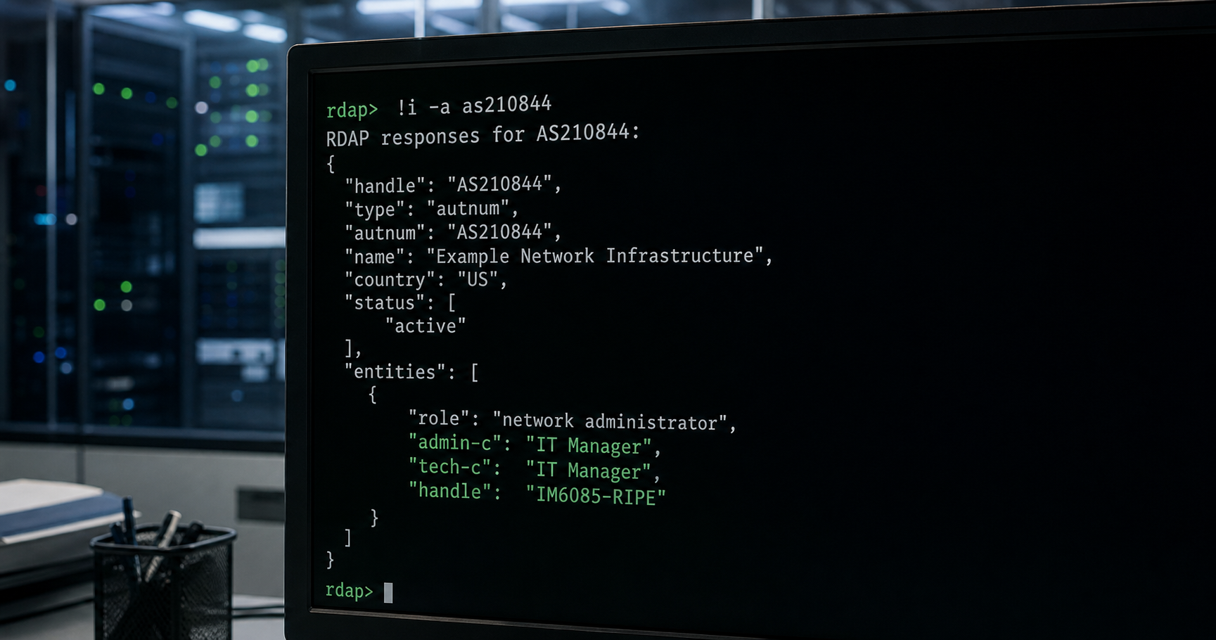 IT Manager