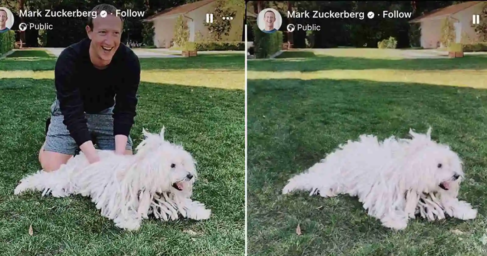 Meta releases new text-prompt Emu AI image and video editing tools