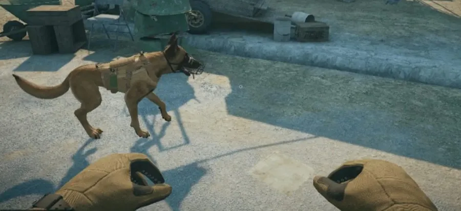 ECS-VR-dog-care-training