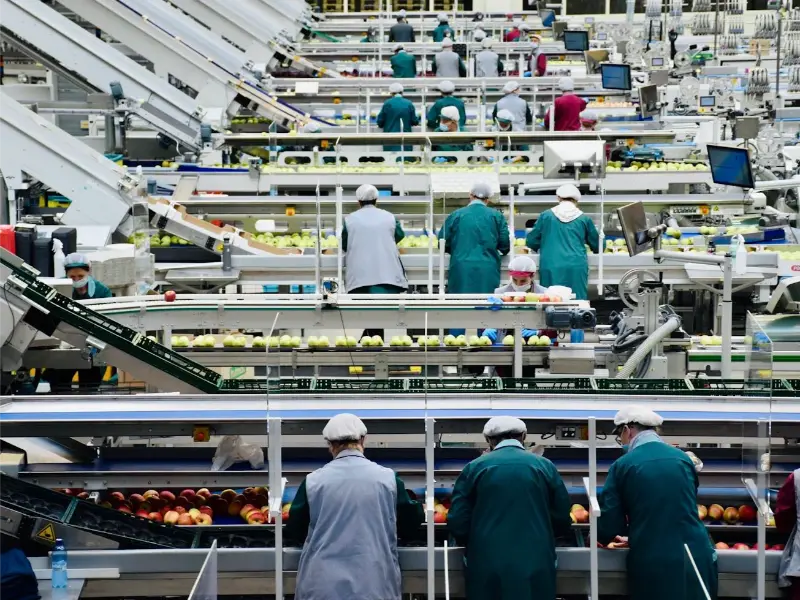 robot food industry