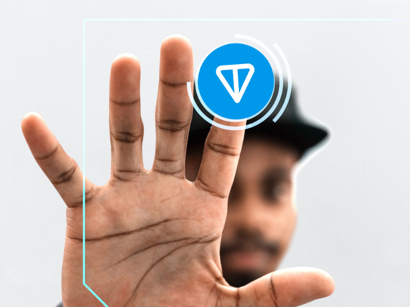 Ton blockchain palm scanning tech