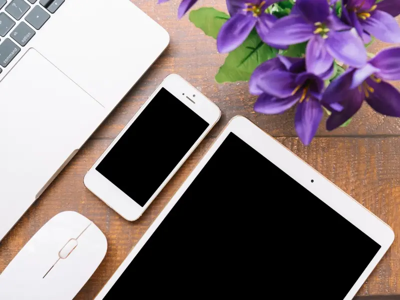 The image is about Apple products.