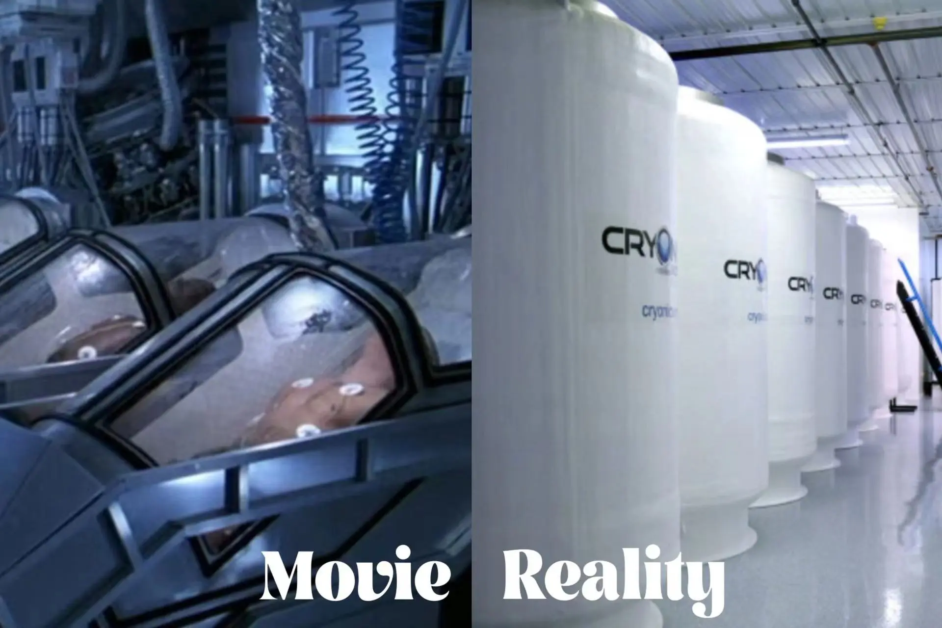 Cryogenic preservation