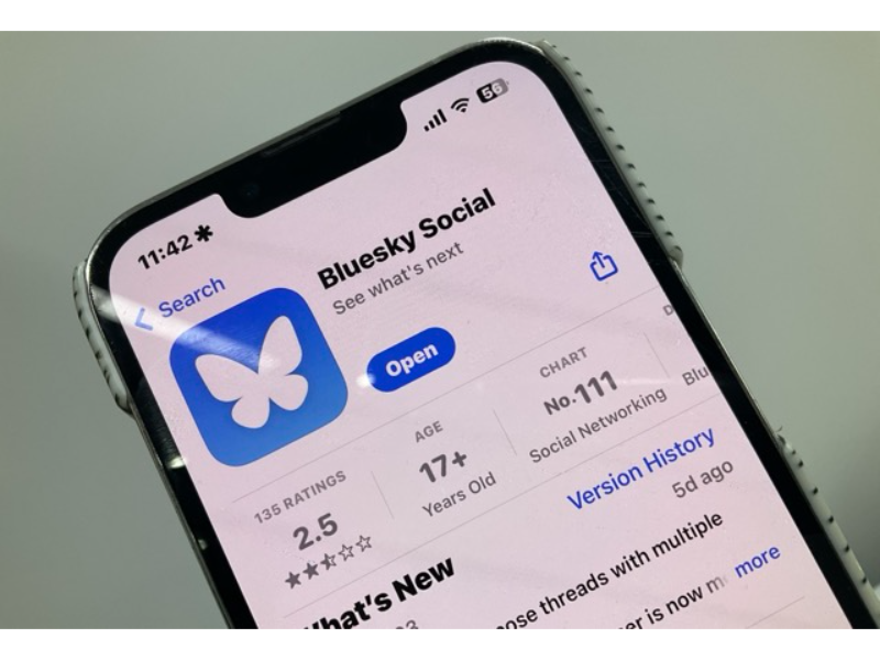 Bluesky adds 1.25M of X-fleeing users after election