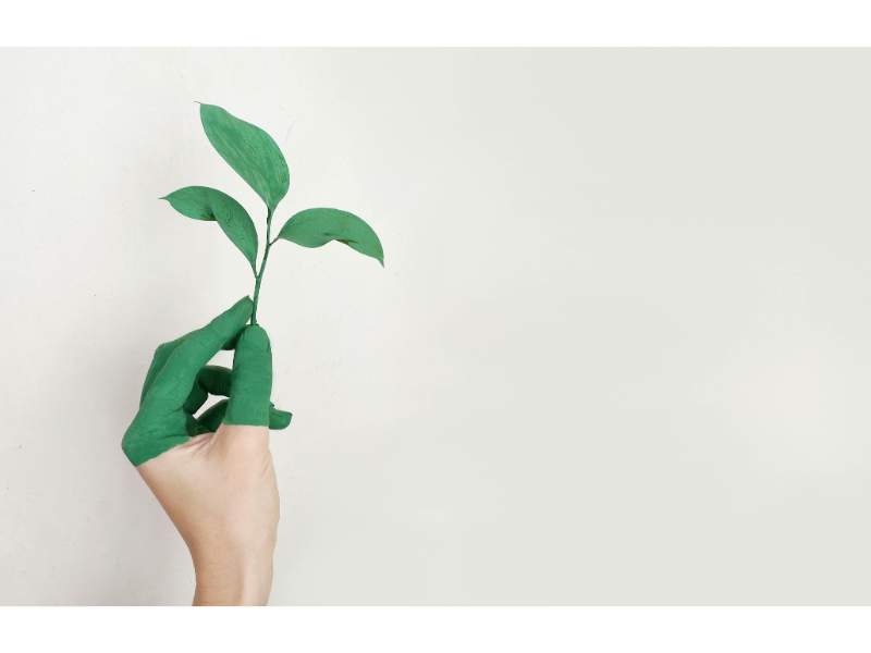 What is a carbon footprint?