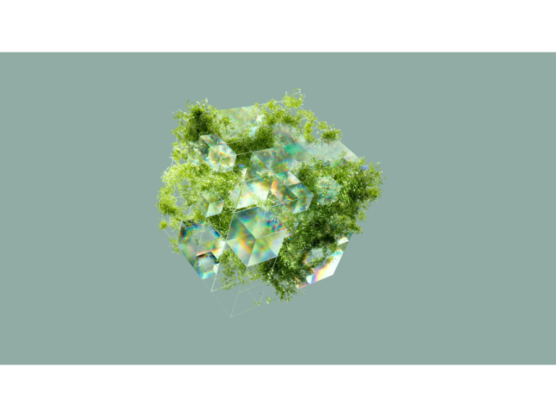 Sustainable tech solutions: Biodegradable Electronics