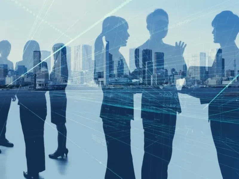 Plume-Network-Optimisation