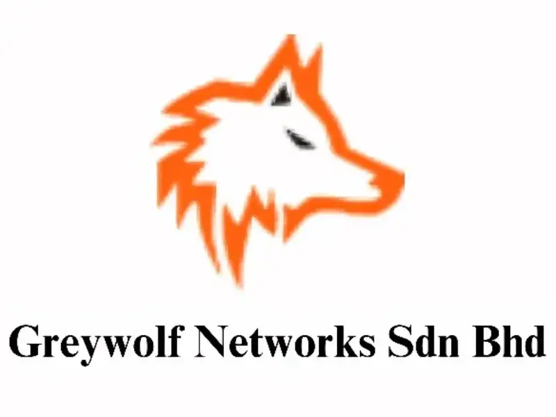 Greywolf-Networks-digital-solutions