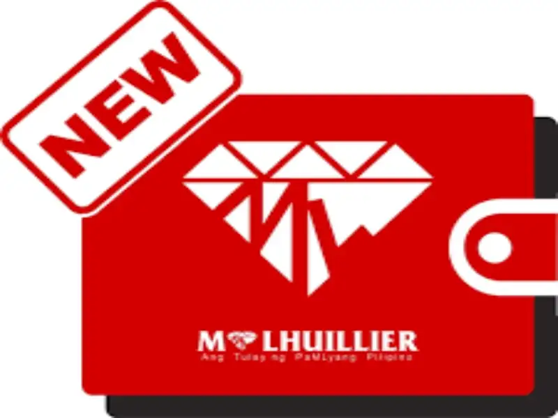 MICHEL J. LHUILLIER FINANCIAL SERVICES