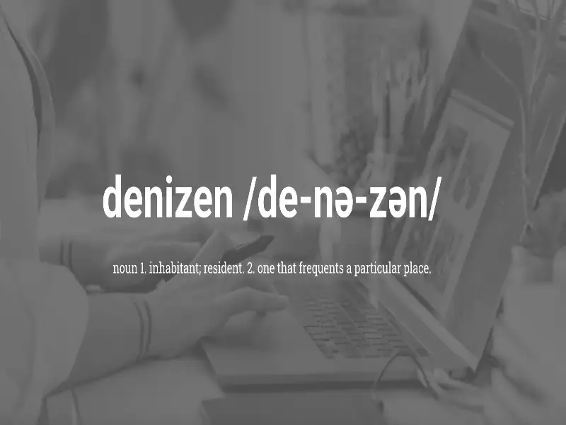 DENIZEN TECHNOLOGIES