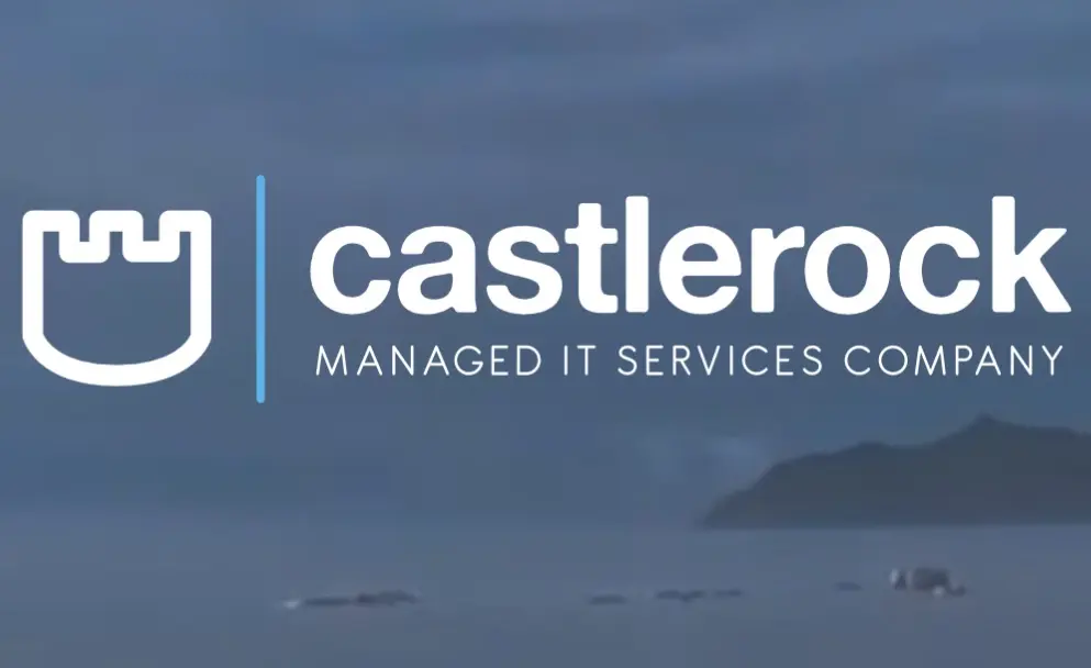 IT services-IT infrastructures