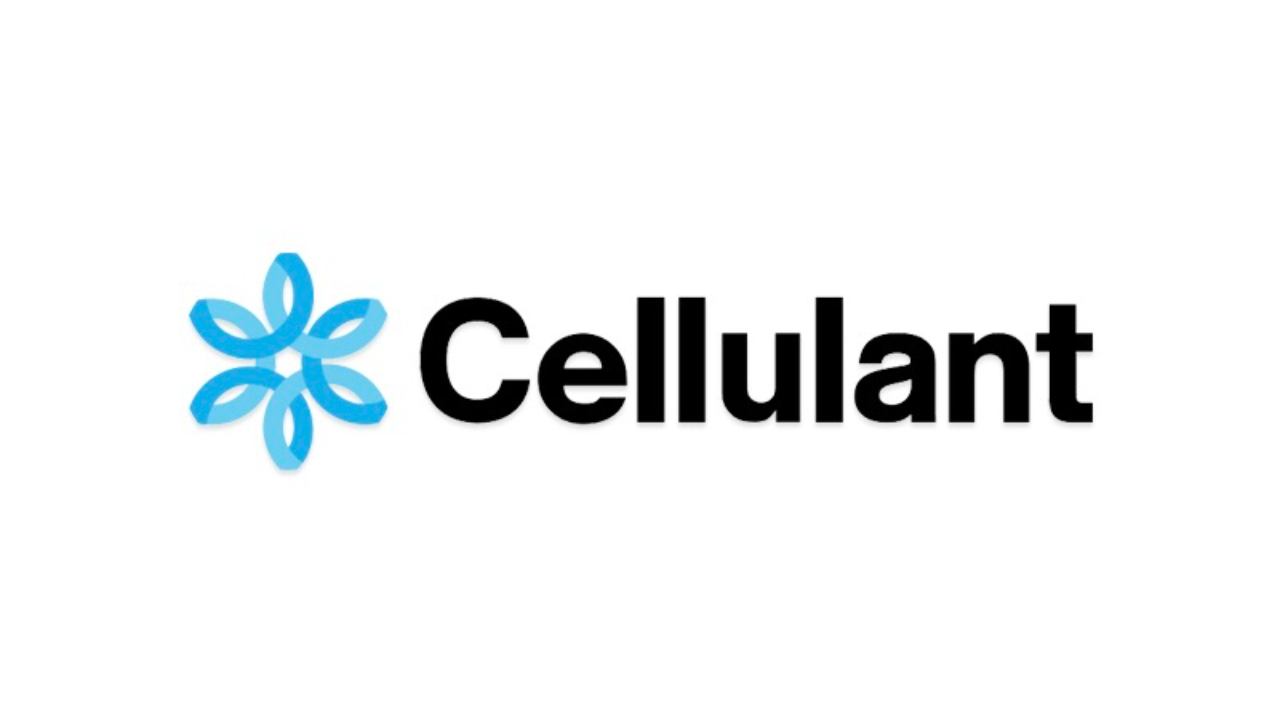 Cellulant Ltd: Transforming digital payments in Africa