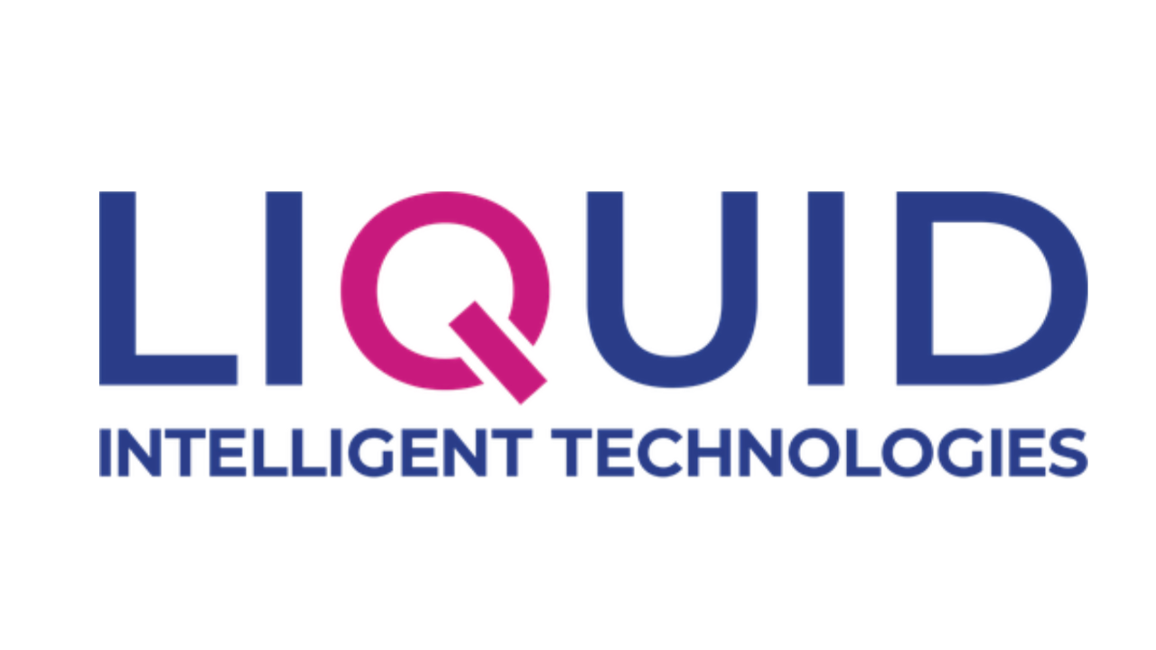 Liquid Intelligent Technologies Tanzania-Tanzanian digital infrastructure