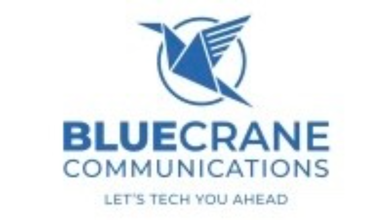 Blue Crane Communications: Expanding IT infrastructure