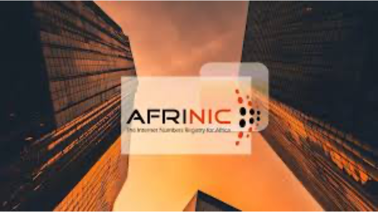 The role of international observers in AFRINIC elections amid constitutional crisis