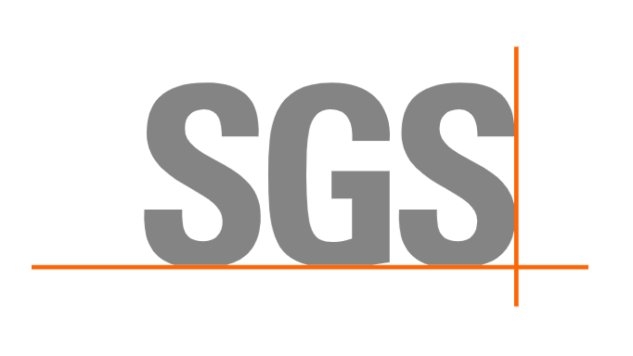 SGS MCNet Moçambique Ltd-Mozambique customs digitisation