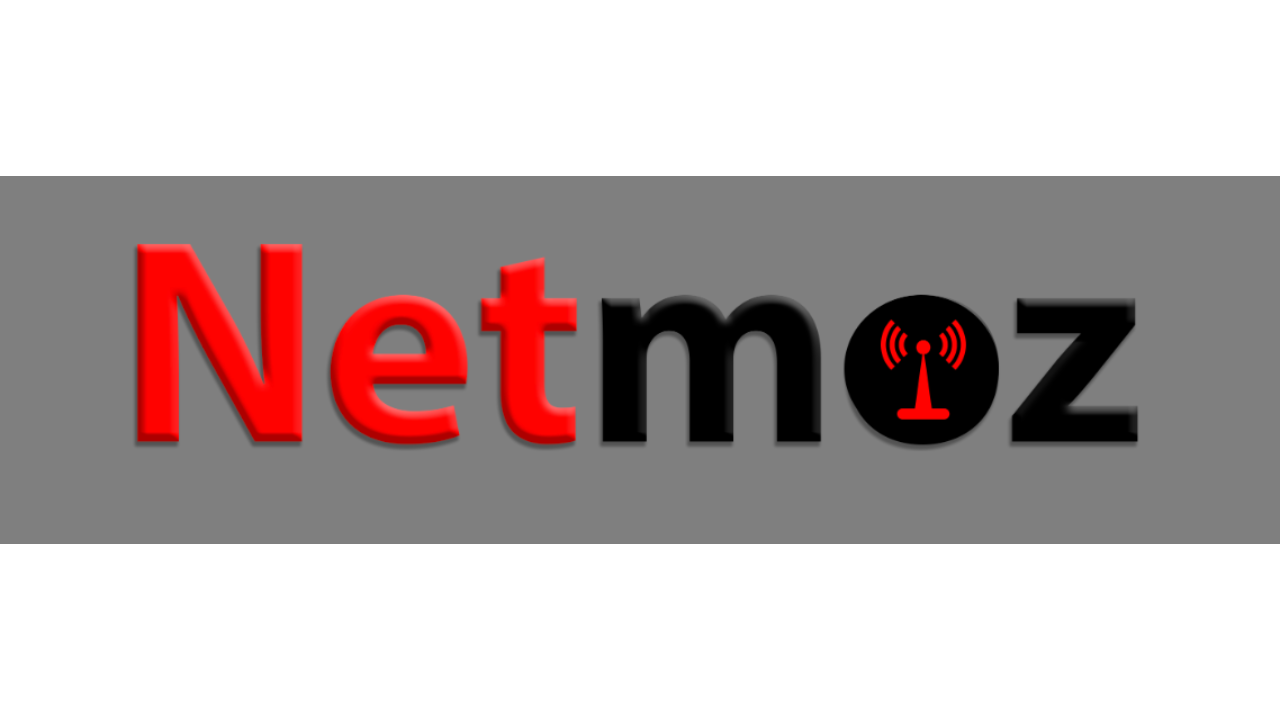 Netmoz Sociedade Unipessoal Lda-Mozambique IT services