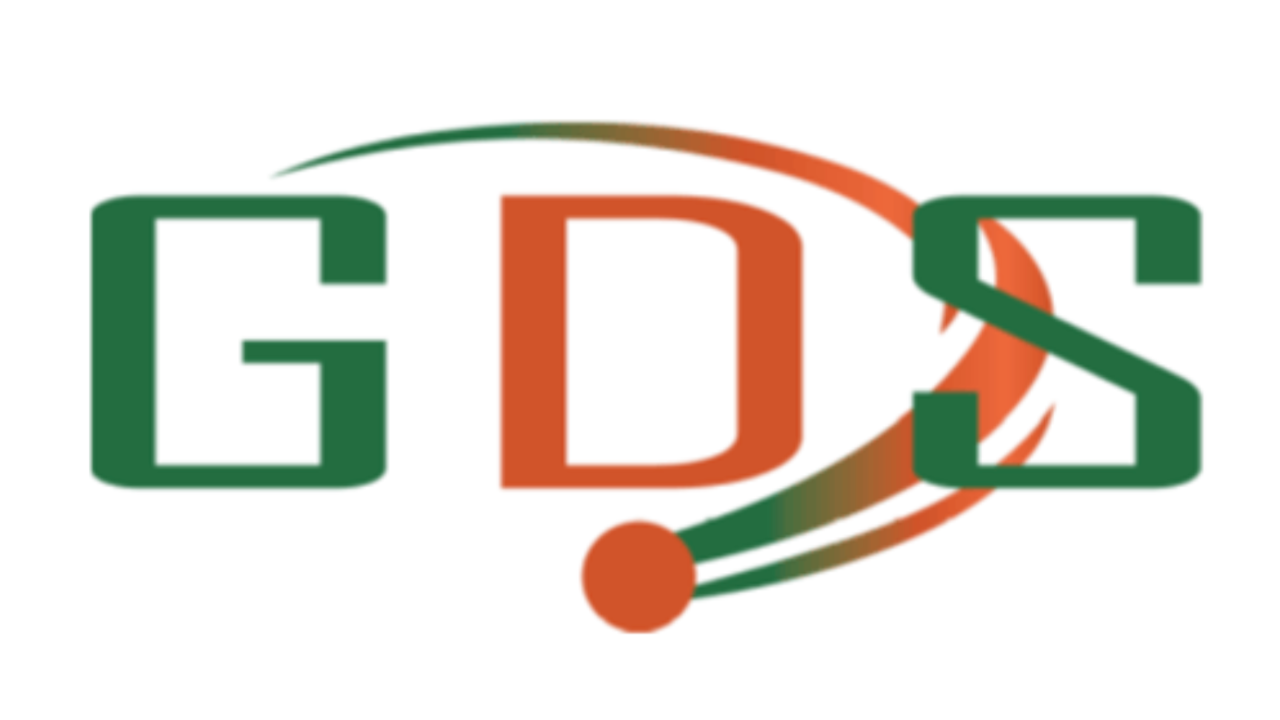 Global Data Services Niger-GDS Niger
