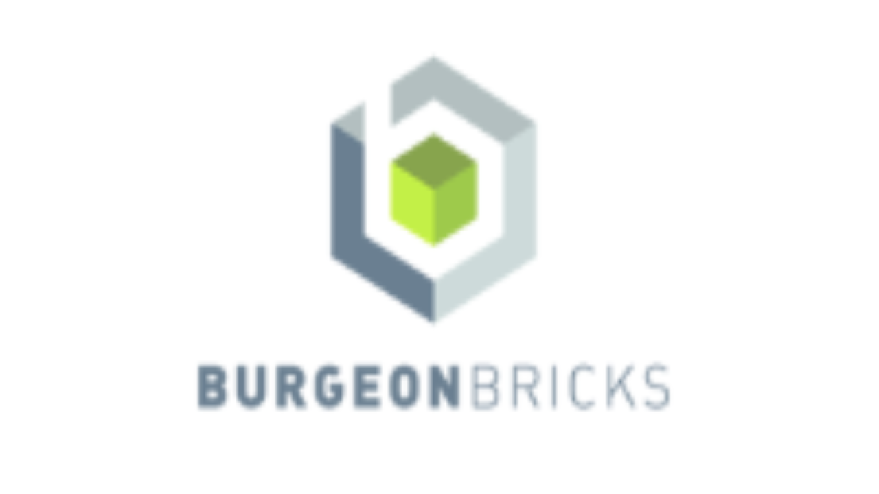 Burgeon Bricks