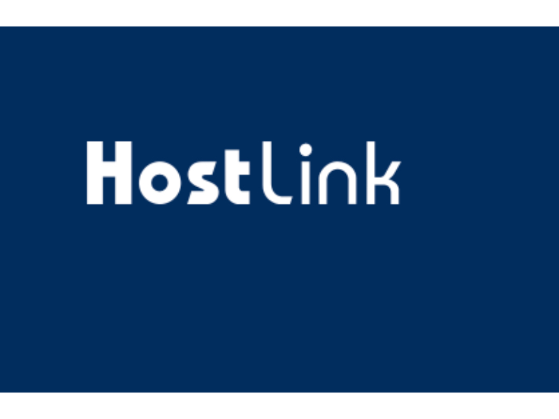 hostlink-limited-hong-kong-web-services-firm-navigates-global-market-pressures