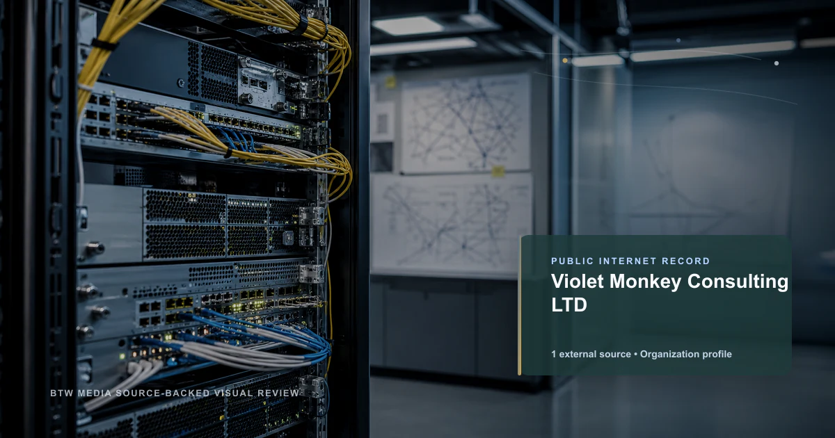 Violet Monkey Consulting LTD public internet infrastructure profile editorial visual