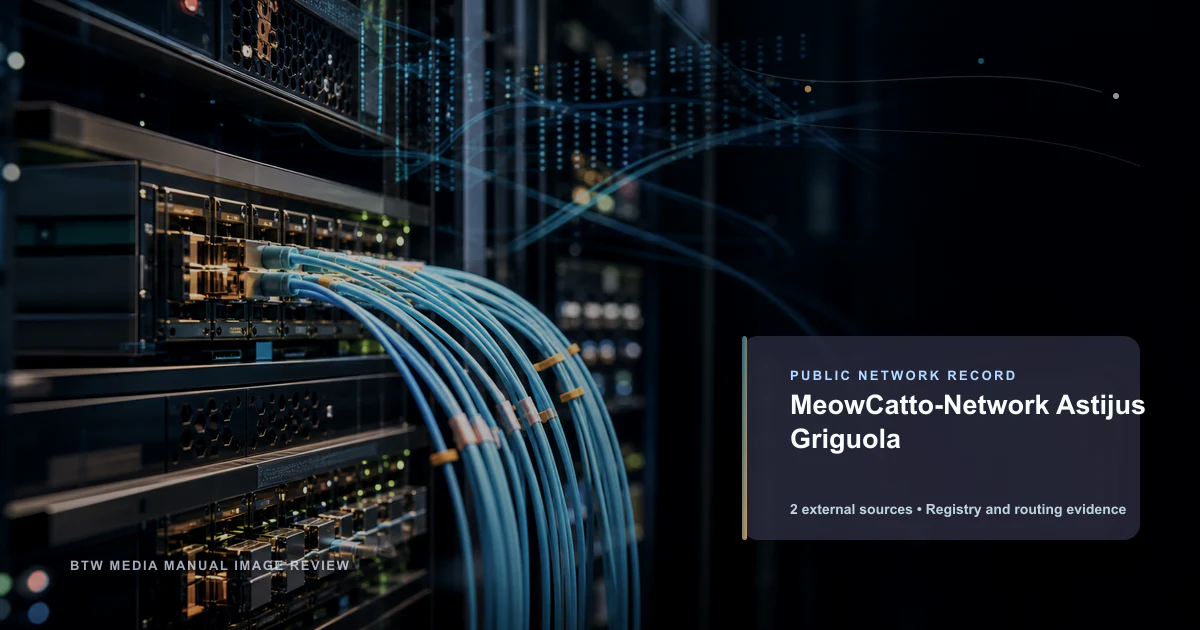 MeowCatto-Network Astijus Griguola