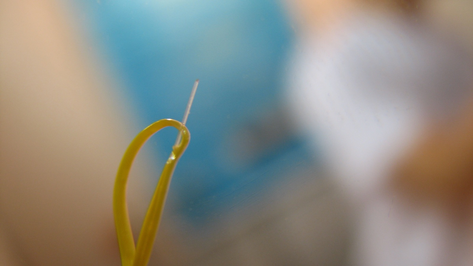 Close view of the exposed core of an optical-fiber cable