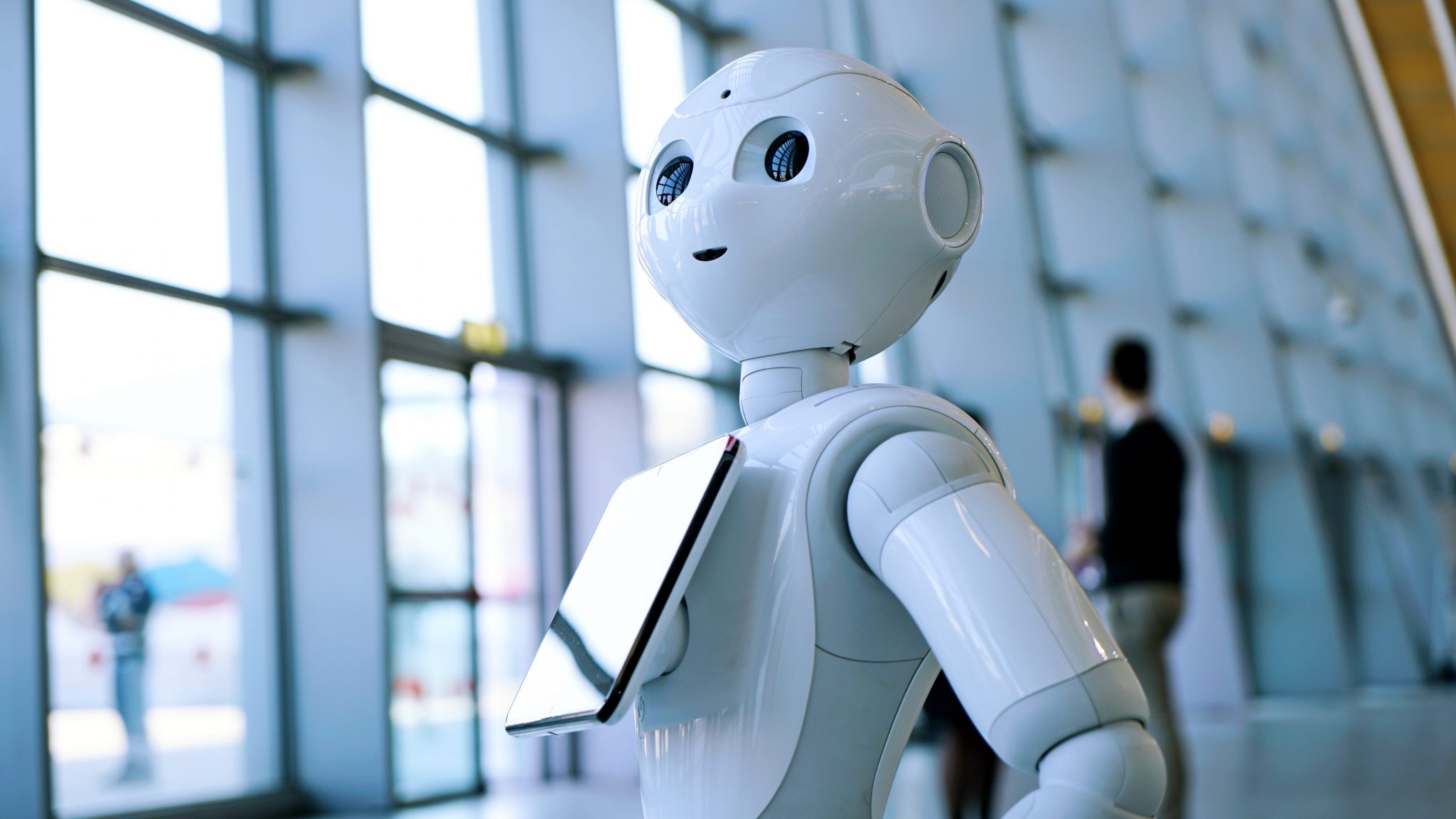 ROBOT-image