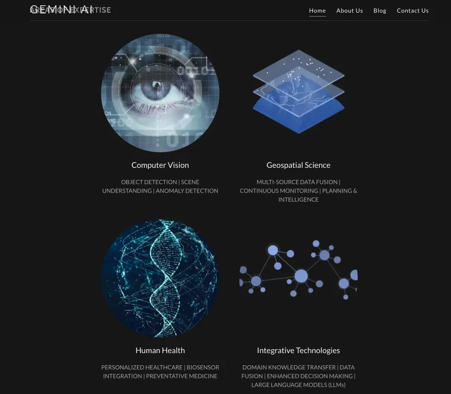 Gemini-AREAs-OF-EXPERTISE