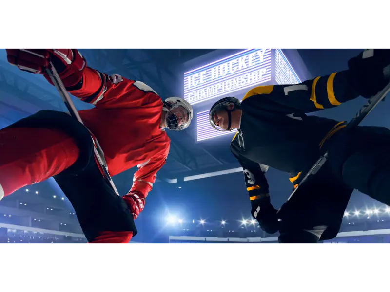 hockey players