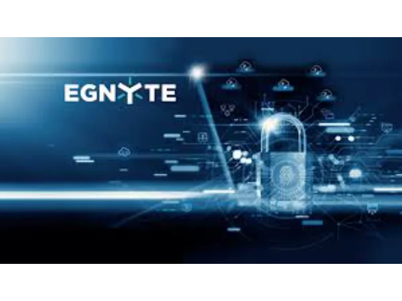 Egnyte