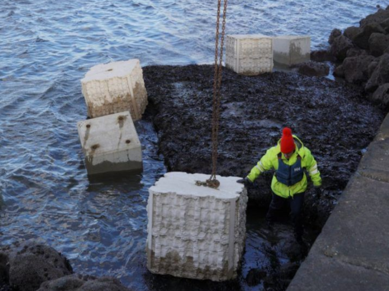 3D-printed units boost Marine life along Dublin Harbour