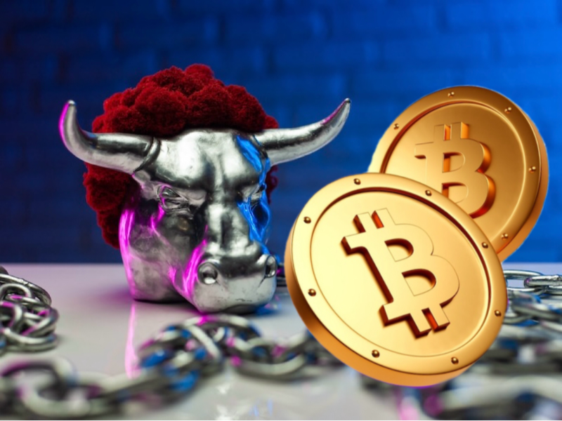 Bull crypto
