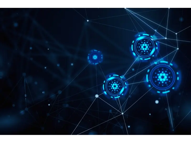 crypto ecosystem