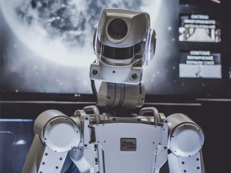 Humanoid robots