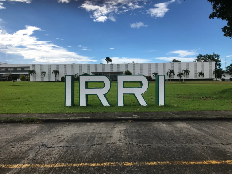 IRRI