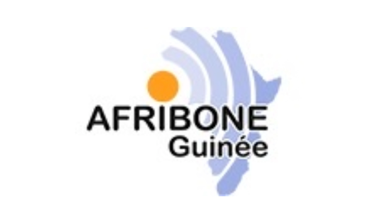 Afribone‑Guinee SA: Drive digital growth in Guinea