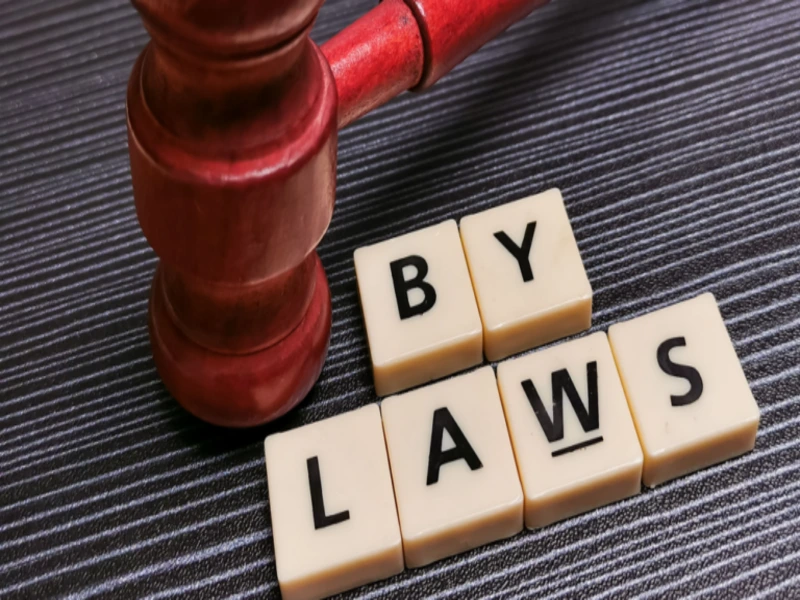 By-laws