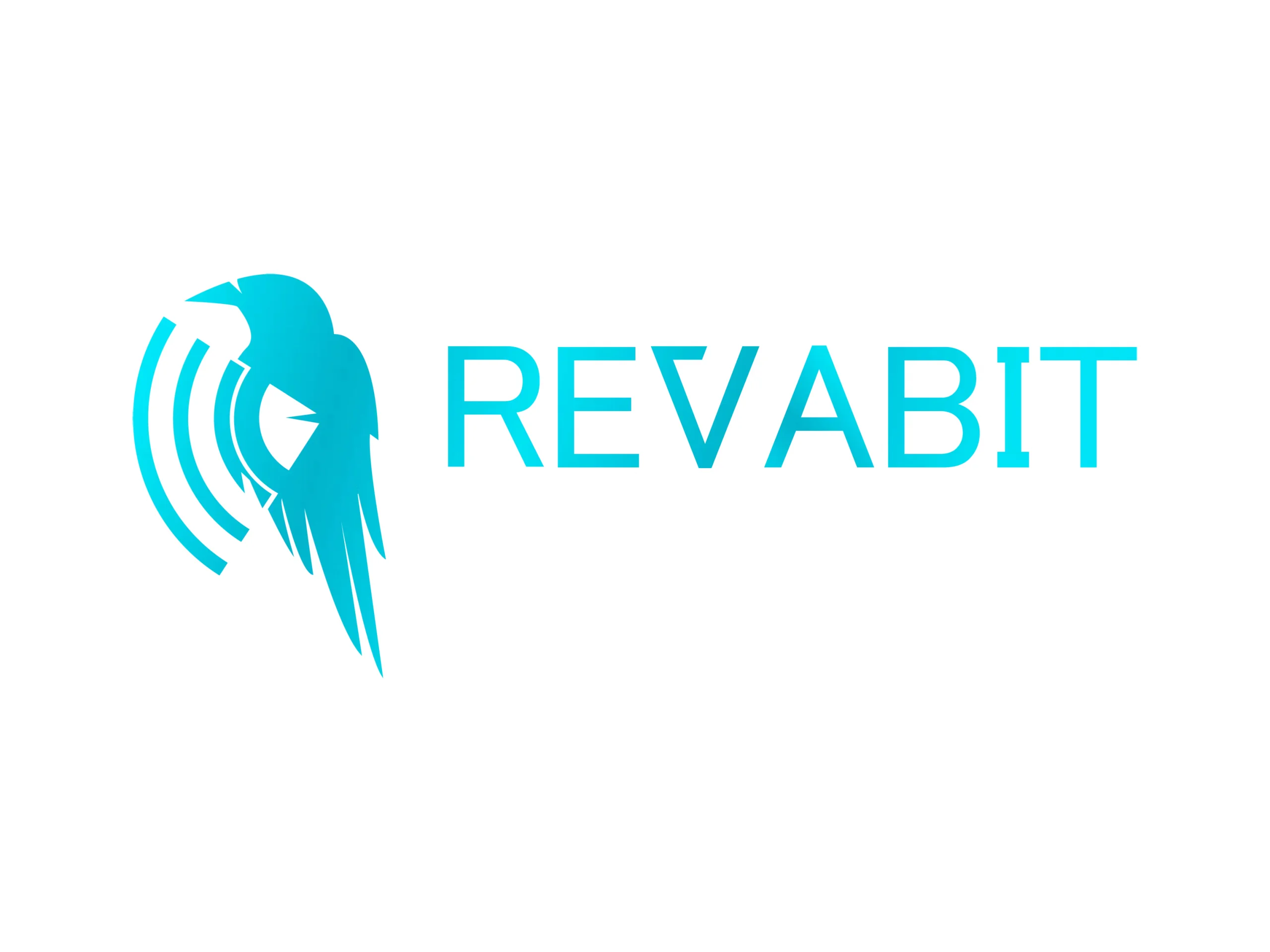 Revabit Limited: Revolutionising IT solutions for the digital age