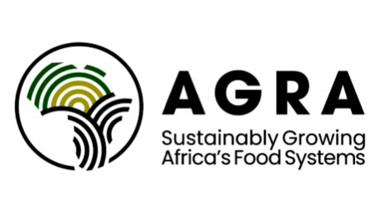 AGRA: Rethinking agricultural transformation
